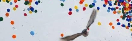 阅兵放飞信鸽翻车现场：不少鸽子“越狱”，原因曝光让养鸽人泪崩