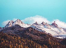 世俱杯竞猜网站-李婷：刘国梁全新任期全面提升